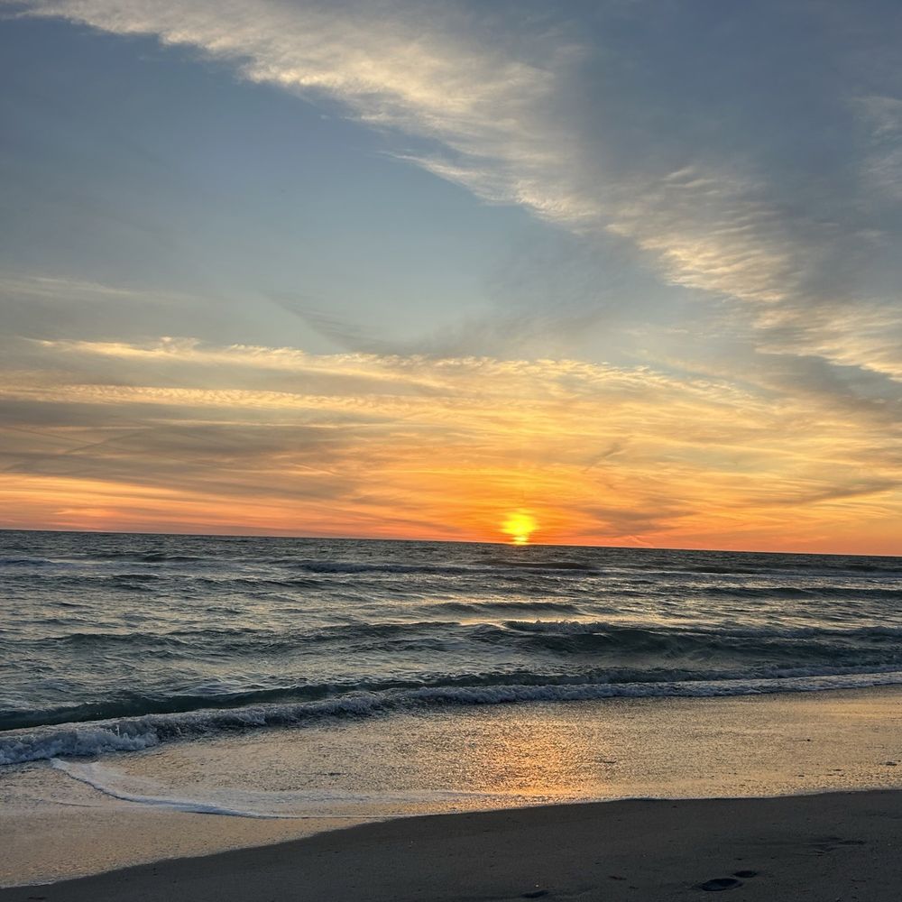 The Gulf Coast